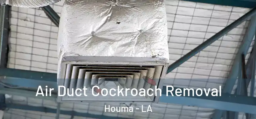 Air Duct Cockroach Removal Houma - LA
