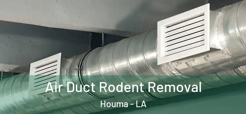 Air Duct Rodent Removal Houma - LA