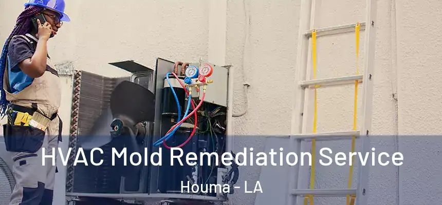  HVAC Mold Remediation Service Houma - LA