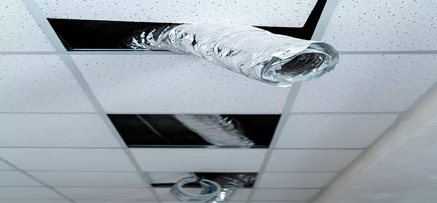 Affordable HVAC Sanitizing After Pest Removal in Houma