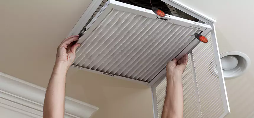 Our Insect Removal from Air Ducts Services in Houma, LA