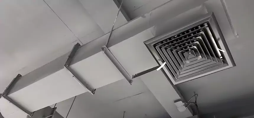 Our Pest Removal From Ducts Services in Houma, LA