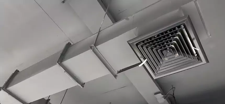 Our Rodent Droppings In Vents Services in Houma, LA