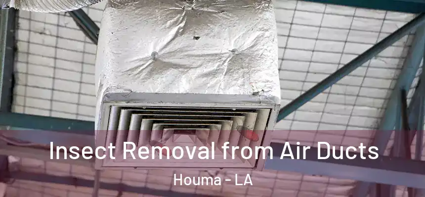  Insect Removal from Air Ducts Houma - LA