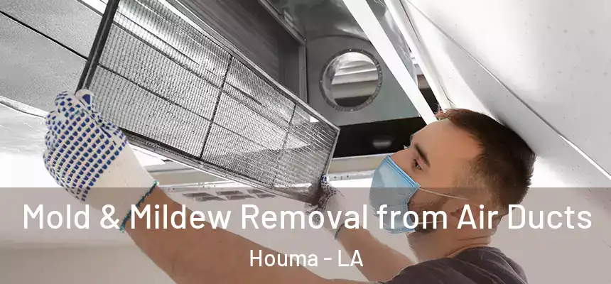  Mold & Mildew Removal from Air Ducts Houma - LA