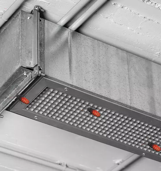 About Air Duct Cockroach Removal in Houma, LA