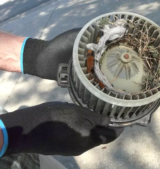 About Air Duct Mice Removal in Houma, LA