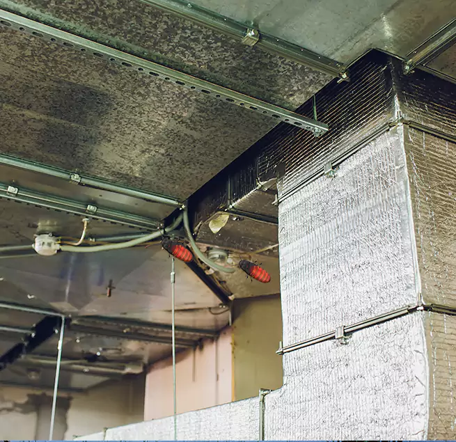 Why Homeowners & Businesses Trust Us in Houma, LA?