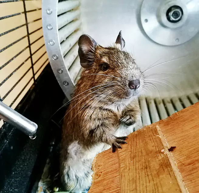 Why Homeowners & Businesses Trust Us Houma, LA