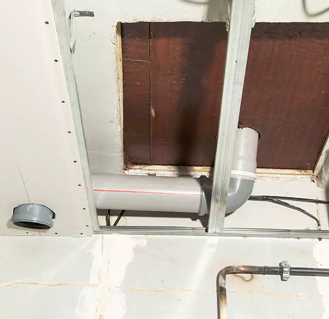 Why Homeowners & Businesses Trust Us in Houma, LA?