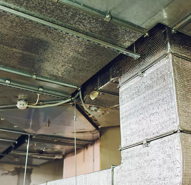 Why Homeowners & Businesses Trust Us in Houma, LA?